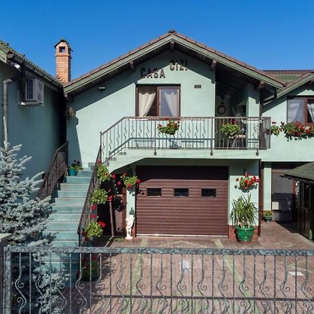 Casa Cizi Otel Călimăneşti Dış mekan fotoğraf