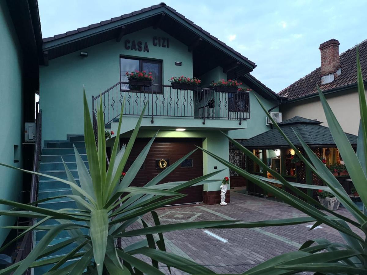 Casa Cizi Otel Călimăneşti Dış mekan fotoğraf