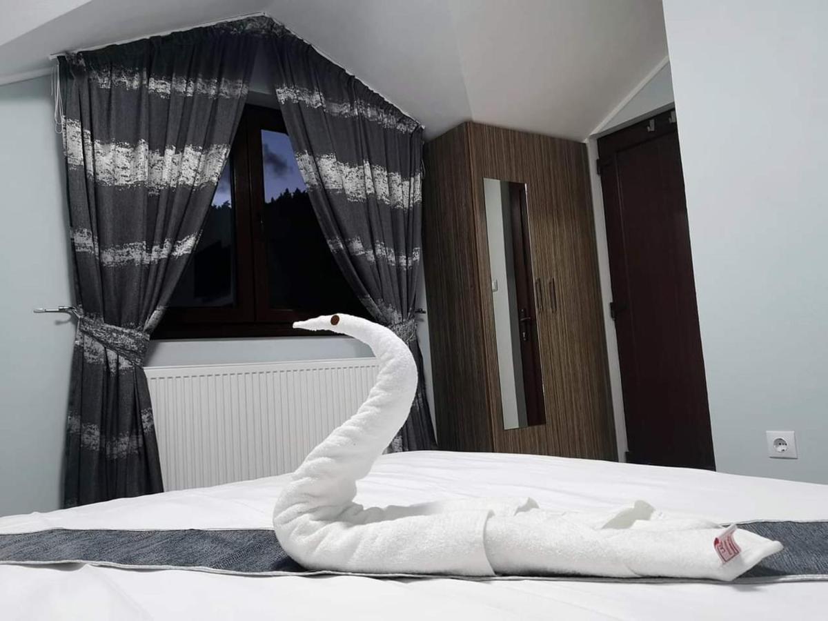 Casa Cizi Otel Călimăneşti Dış mekan fotoğraf