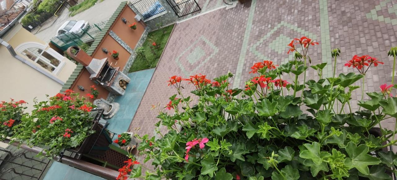 Casa Cizi Otel Călimăneşti Dış mekan fotoğraf
