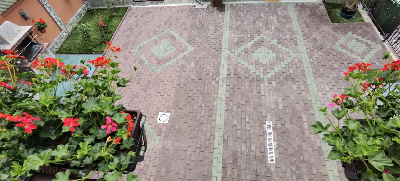 Casa Cizi Otel Călimăneşti Dış mekan fotoğraf