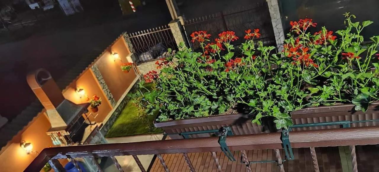 Casa Cizi Otel Călimăneşti Dış mekan fotoğraf