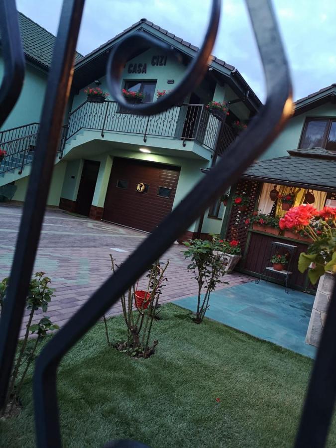 Casa Cizi Otel Călimăneşti Dış mekan fotoğraf