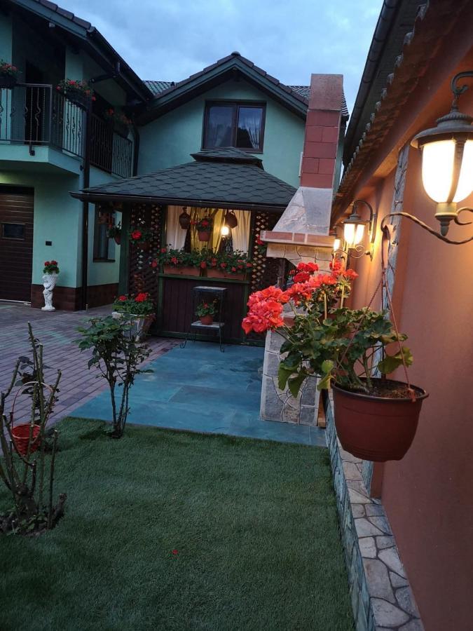 Casa Cizi Otel Călimăneşti Dış mekan fotoğraf