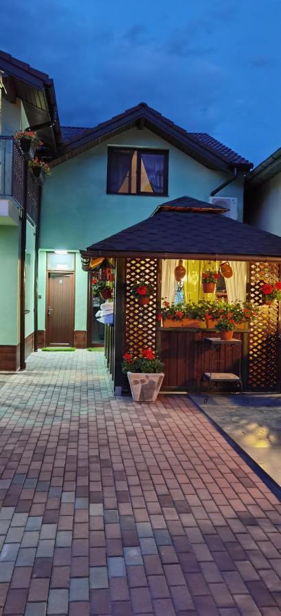 Casa Cizi Otel Călimăneşti Dış mekan fotoğraf