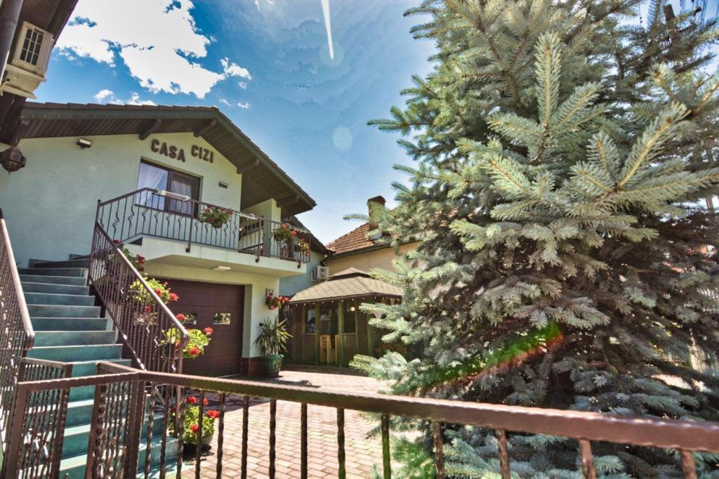 Casa Cizi Otel Călimăneşti Dış mekan fotoğraf