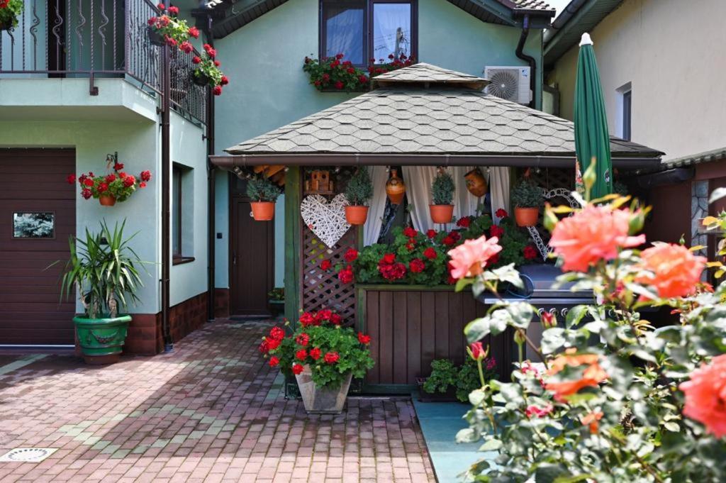 Casa Cizi Otel Călimăneşti Dış mekan fotoğraf