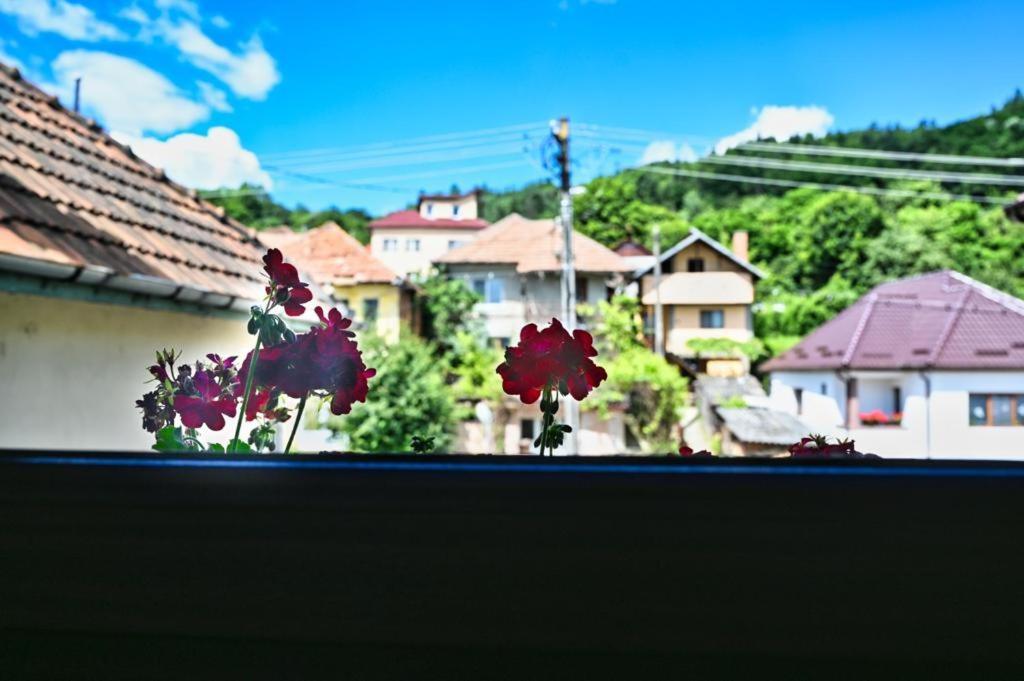 Casa Cizi Otel Călimăneşti Dış mekan fotoğraf
